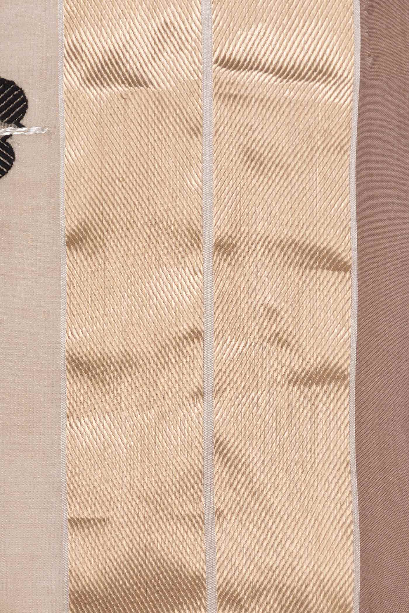 Beige Dual Tone Banarasi Saree - Image 3