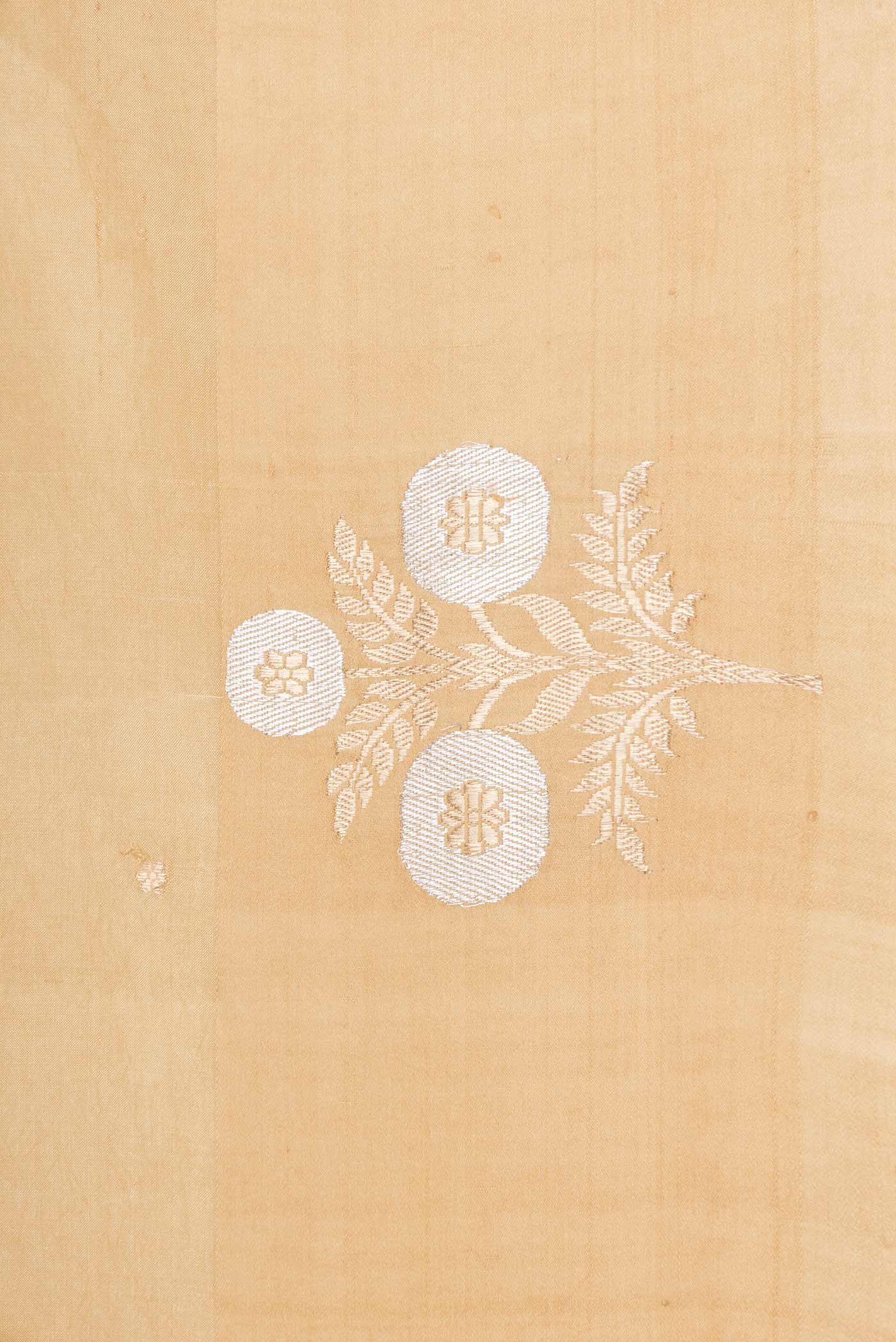 Beige Dual Tone Tussar Silk Saree - Image 2