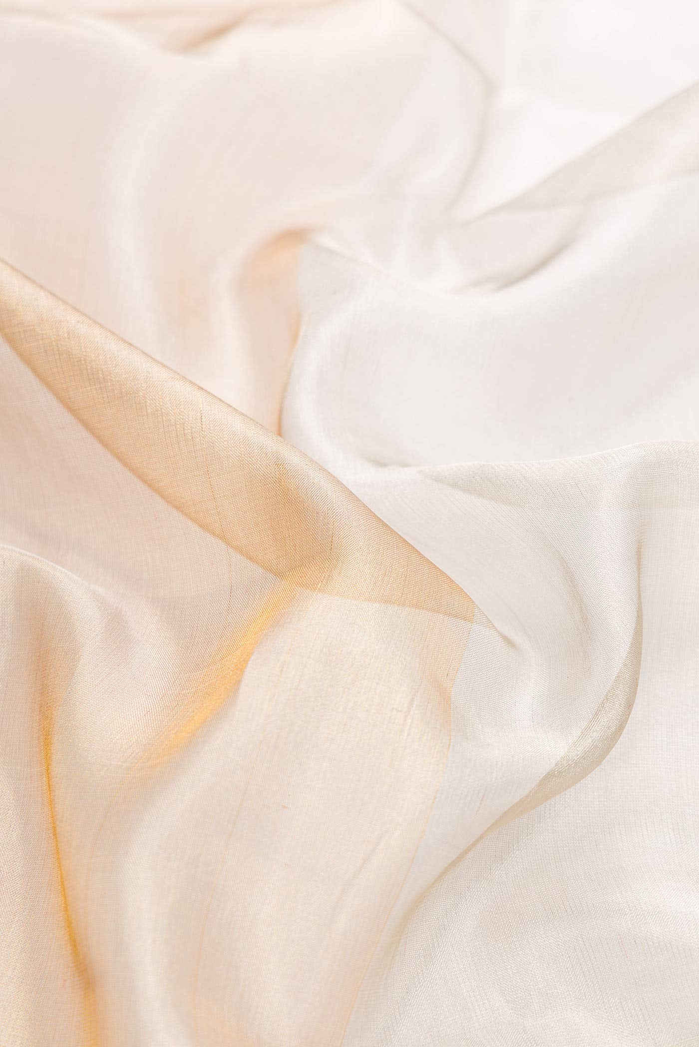 Gold and Silver Dual Tone Kanchipuram Tissue Silk Saree - Image 3