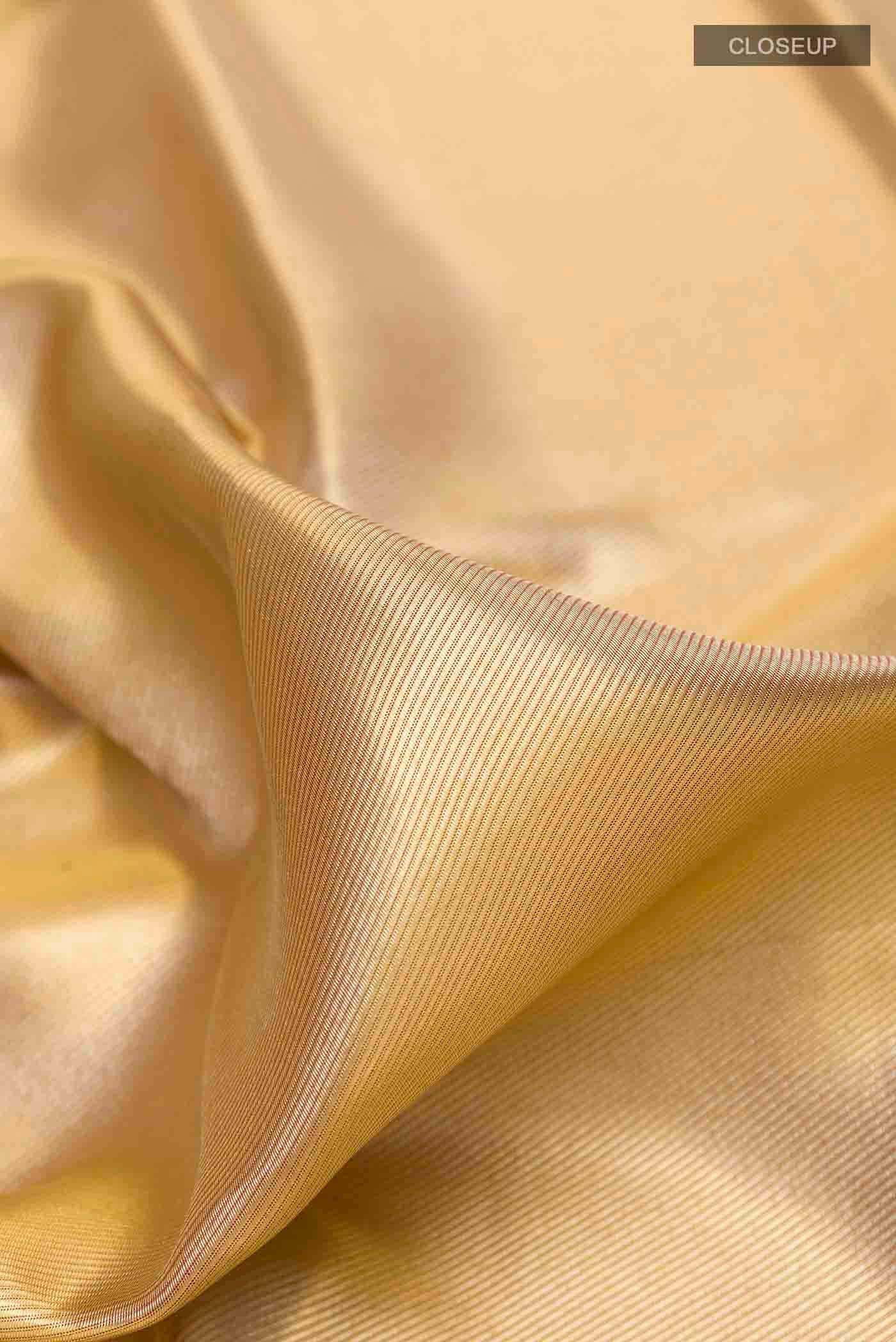 Golden Kanchipuram Tissue Silk Saree - Image 2