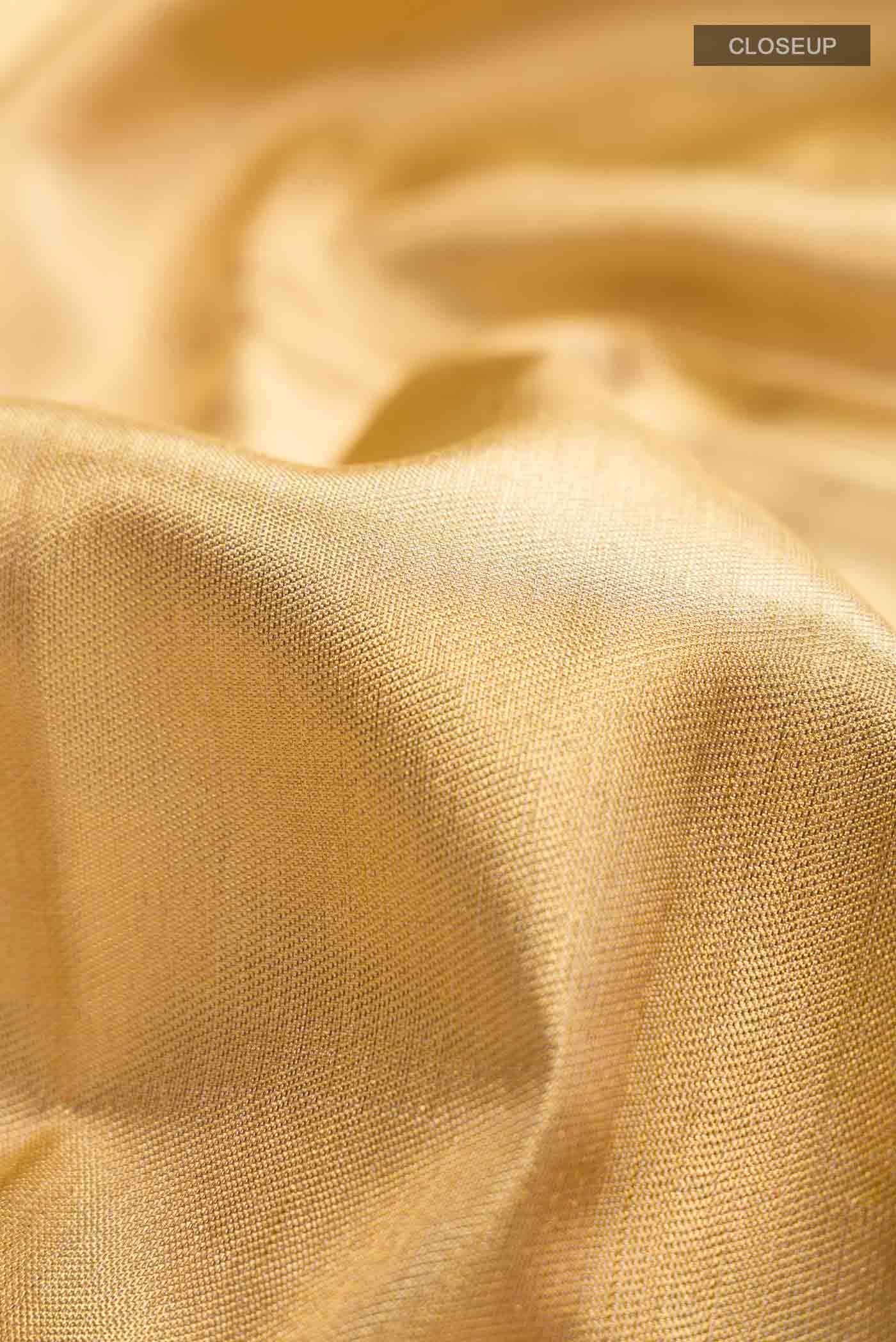 Golden Kanjivaram Tissue Silk Saree - Image 3