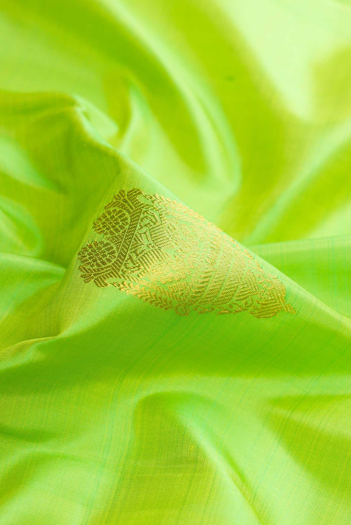 Parrot Green Kanchipuram Silk Saree - Image 2