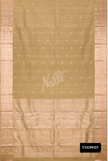 Pista Green Dual Tone Kanchipuram Silk Saree