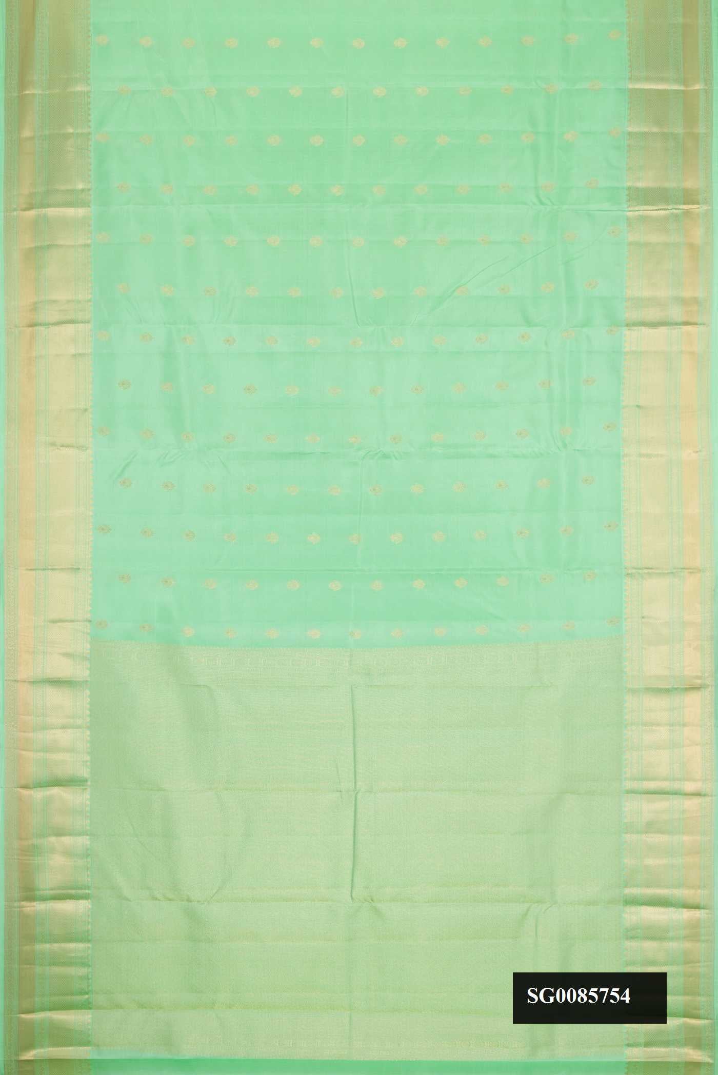 Pista Green Dual Tone Kanchipuram Silk Saree