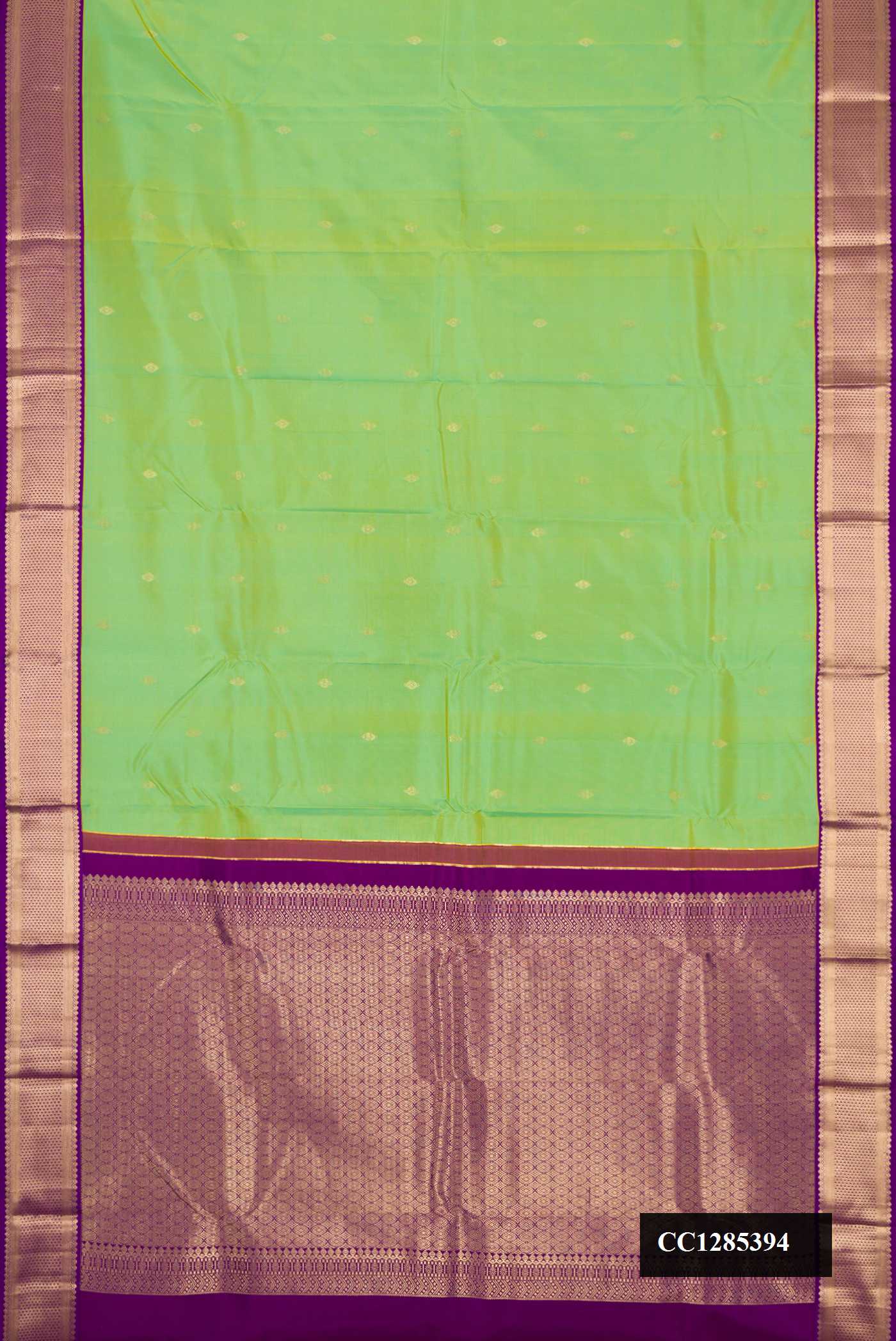 Pista Green Dual Tone Kanchipuram Silk Saree