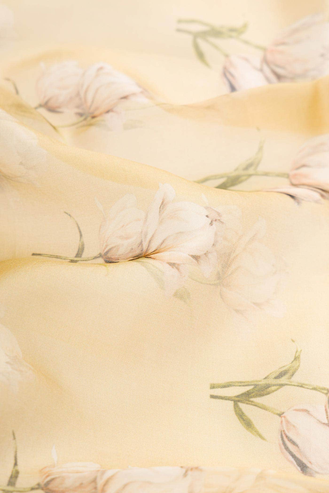 Sandal Organza Silk Saree - Image 2