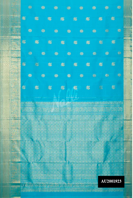 Sky Blue Dual Tone Kanchipuram Silk Saree