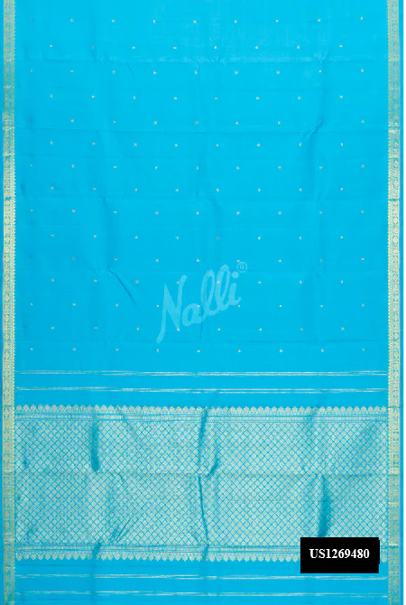 Sky Blue Dual Tone Kanchipuram Silk Saree